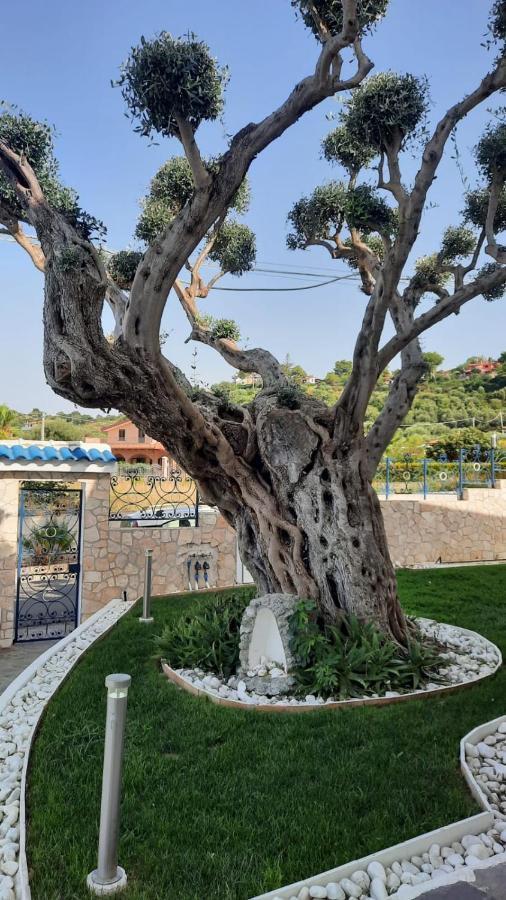 Villa Ludo A Zambrone Tropea Eksteriør billede